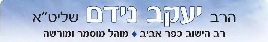 nidam logo